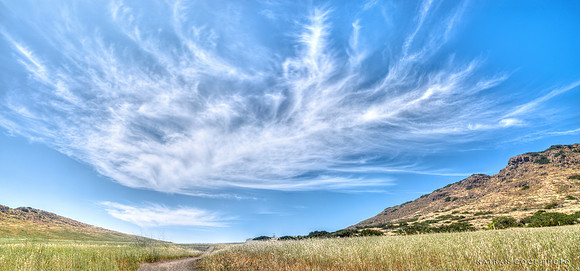 Crab Clouds