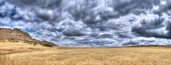 Prairie  Storm