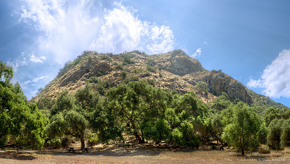 Wildwood Picnic Area