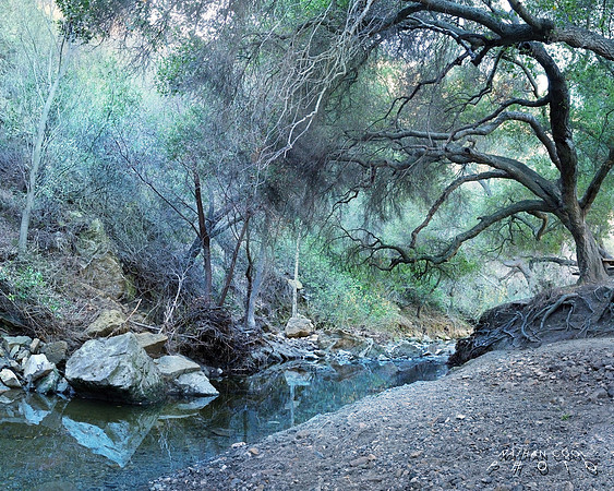 Upstream from Paradise Falls