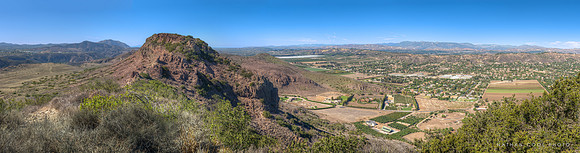 Wildwood to the Sea