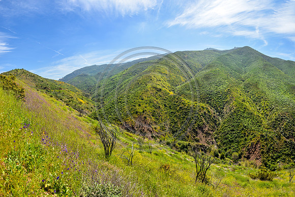 Sycamore Canyon