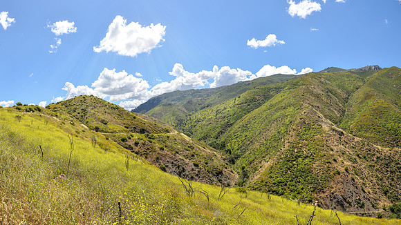 Near Boney Mountain