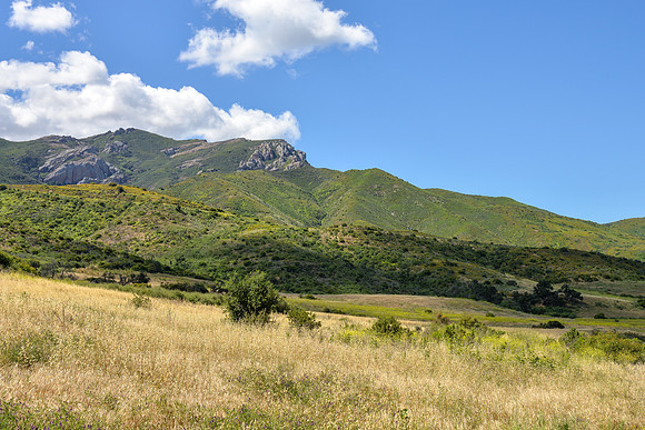 Boney Mountain