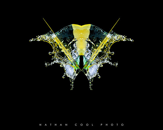 Mantis Lemonus