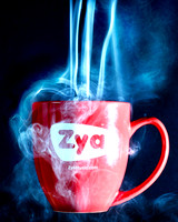 Electric Zya Java