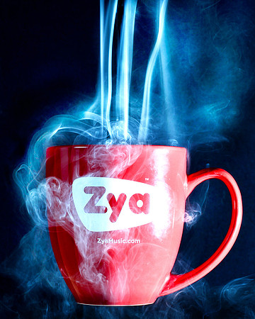 Electric Zya Java