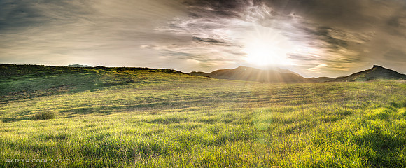 Golden Mesa
