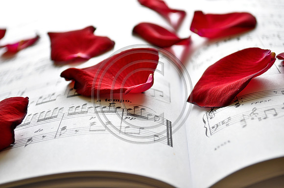 Rose Notes