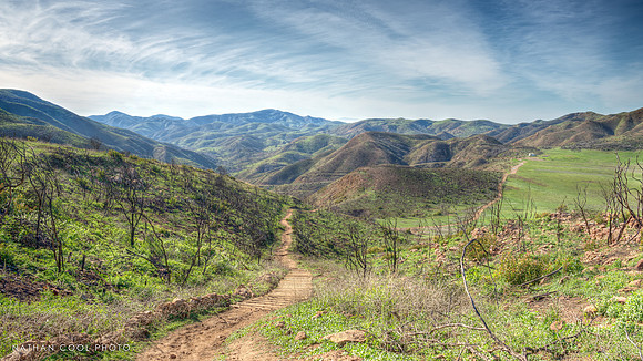 Sycamore Canyon