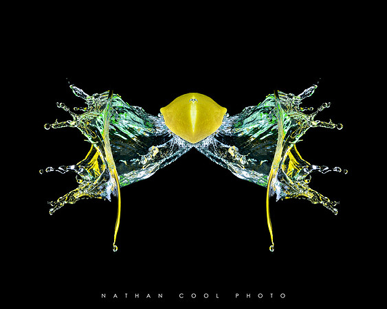 Squid with Lemon